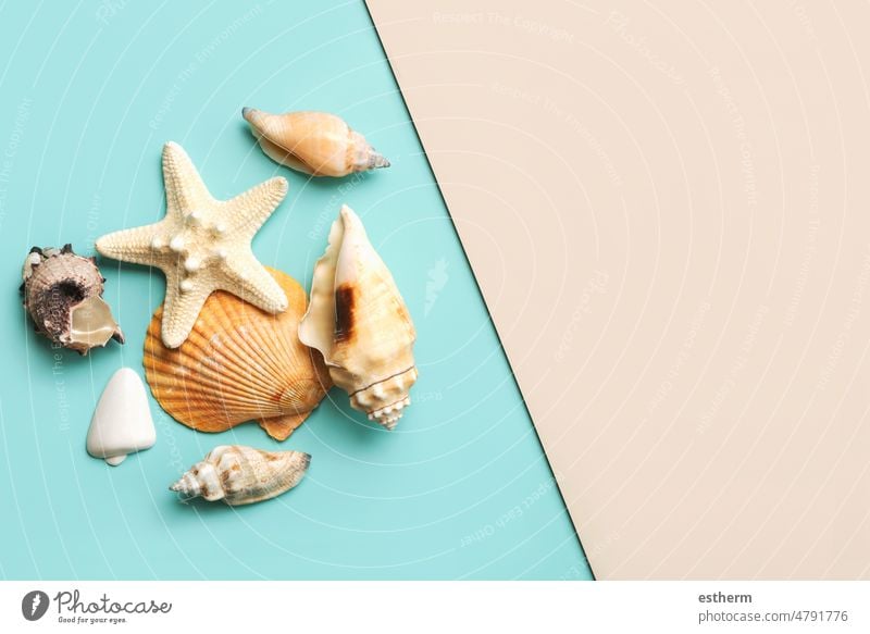 Summer holiday concept.Top view of sea shells and starfish with space for text summer holidays abstract summertime beach vacation travel voyage planning