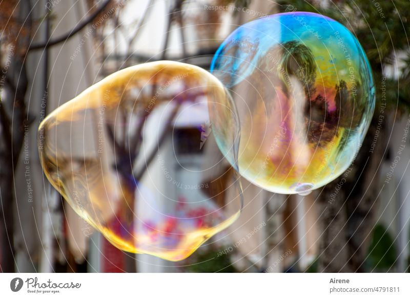 tender encounter Soap bubble Multicoloured Flying Dazzling Fragile Easy Hover Ease Round Colour Glittering Tall Sphere Bubble Playing Reflection Smear