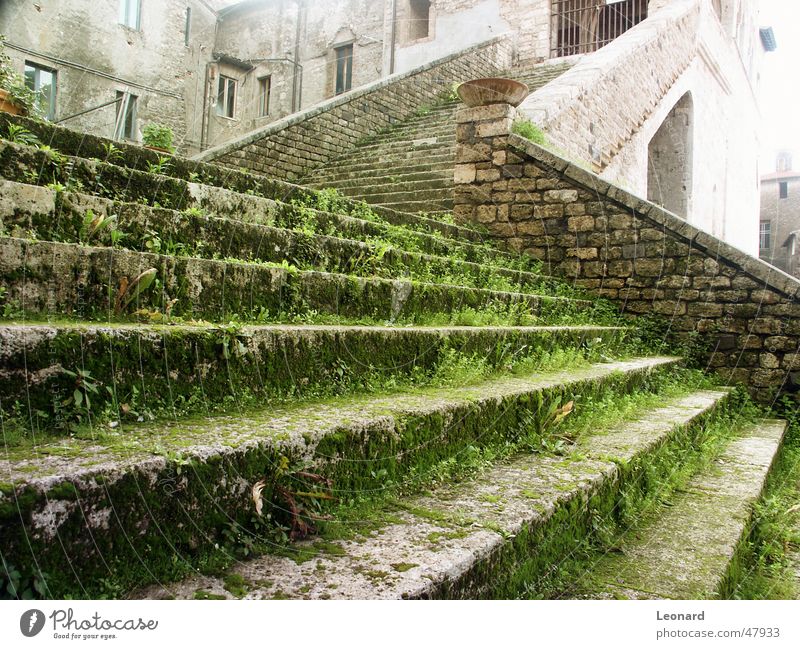 Old stair Rhineland-Palatinate Palace Grass Sun Glow Italy Ladder Stairs Stride Stone Castle shine Shadow step
