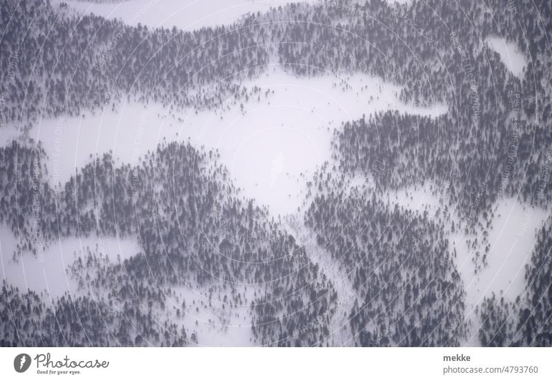 Arctic winter landscape in thumbnail Forest Snow Winter Aerial photograph Tree White plan Landscape Nature Cold Snowscape Snow layer Winter mood Winter forest