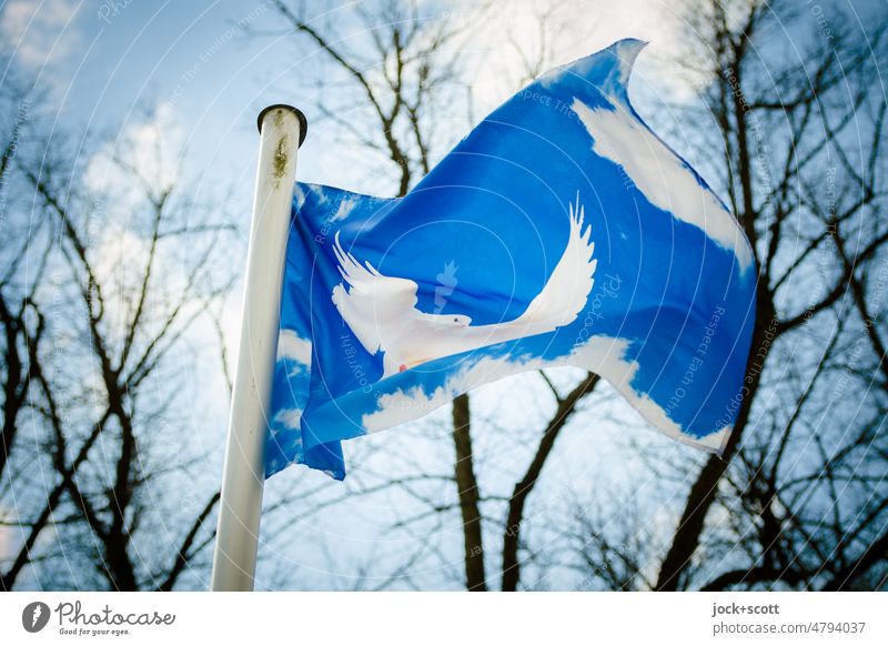 Flag of peace dove in the wind Dove of peace Blow Flagpole Clouds Sky Wind Judder bare trees Beautiful weather Blue peace symbol white on blue Ukraine Peace