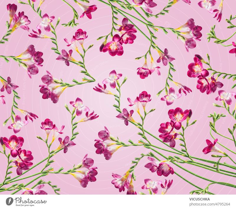 Floral pattern made with purple blooming summer flowers at pink background. floral green stems seamless beautiful blossom design floral background