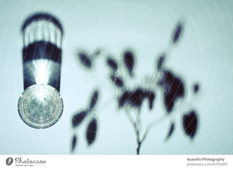 Creative concept still life glass of water an a plant shadow in blue. tree leaf branch abstract art silhouette hard bright light flat lay minimal monochrome