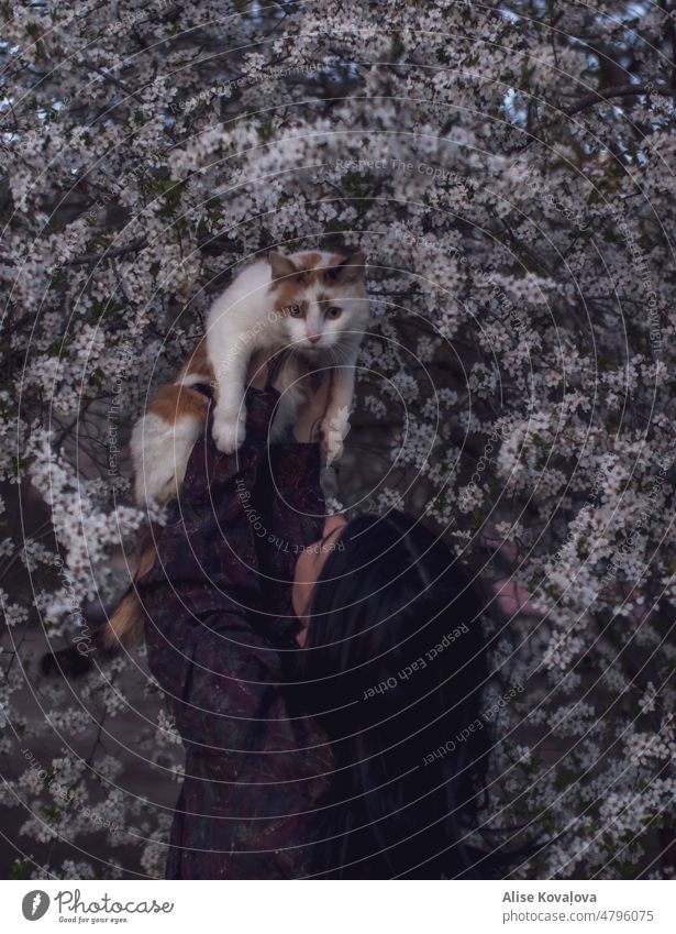 self portrait under a plum tree with a cat Cat person holding a cat plum blossoms Dark hair colour photo pet holding a pet cat looking at the camera