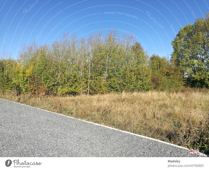 Flat grey gravel parking lot in front of green bushes and shrubs and blue sky in sunshine in Oelde in Westphalia in the Münsterland region of Germany