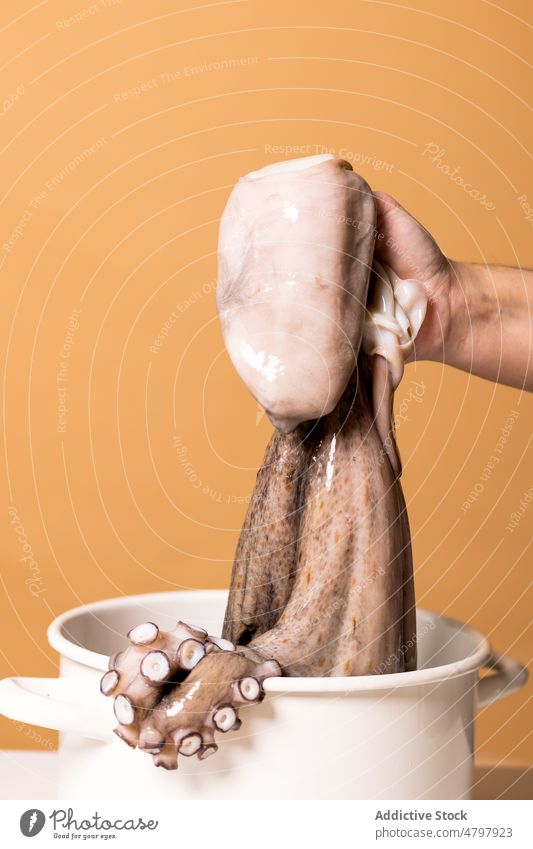 Unrecognizable cook holding octopus over pot person raw seafood cuisine culinary exotic uncooked product natural fresh mollusc light whole gastronomy healthy