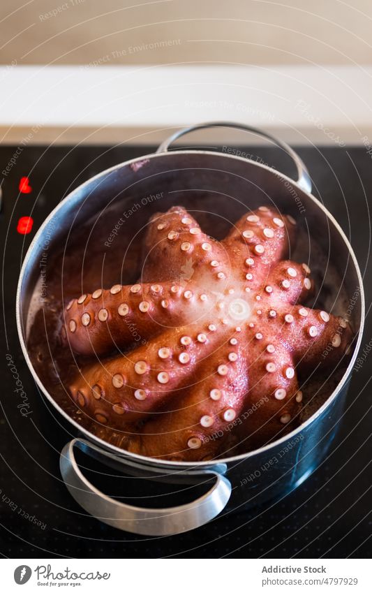 Octopus in pot on stove octopus raw cook seafood uncooked kitchen cuisine boil culinary cooker induction kitchenware appliance product natural fresh mollusc