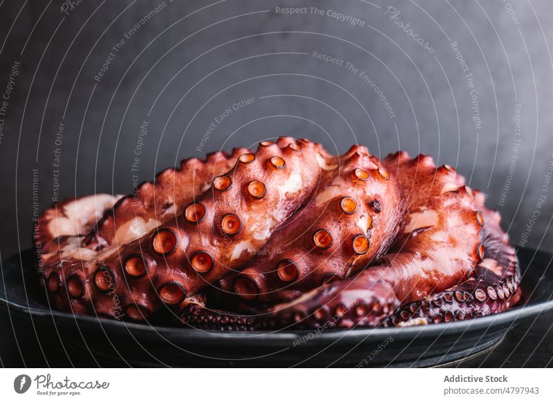 Delicious octopus served on plate seafood cuisine culinary exotic product natural tentacle gastronomy mollusc fresh light healthy ingredient nutrition nutrient