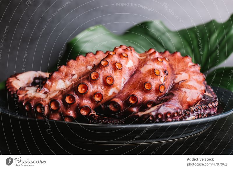 Delicious octopus served on plate seafood cuisine culinary exotic product natural tentacle gastronomy leaf mollusc fresh light healthy ingredient nutrition