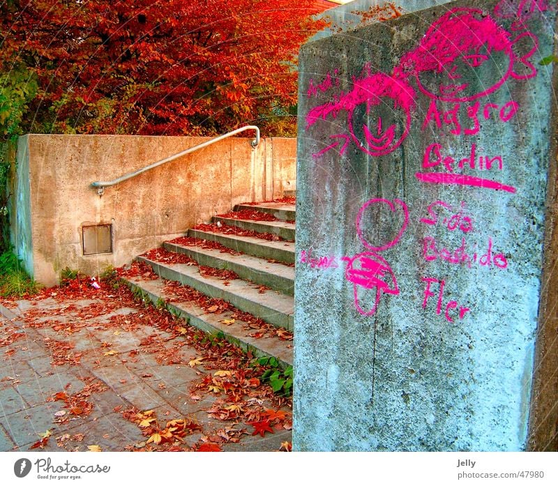 aggro Tree Leaf Red Painted Asphalt Stairs Handrail Painting (action, work) Graffiti