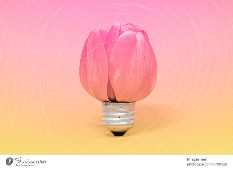 Creative concept tulip flower in the form of a light bulb. Eco light on colored background. Ecology, thinking concept Abstract Art Blossom Brainstorming