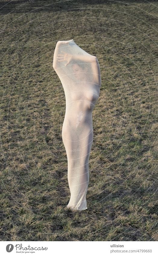 sexy young woman nude in a big transparent stocking dress stands as a modern sculpture on a meadow copy space grass romantic goddesses feminine symbol beige