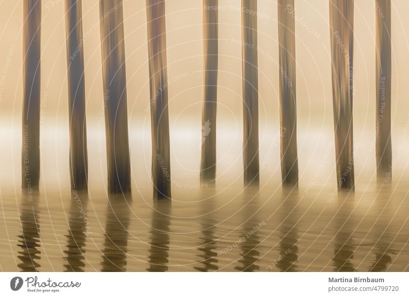 Poles in a row at the beach in California at sunset, long exposure and icm poles meditative ocean copy space water sky travel calm nature vacation scenic wooden