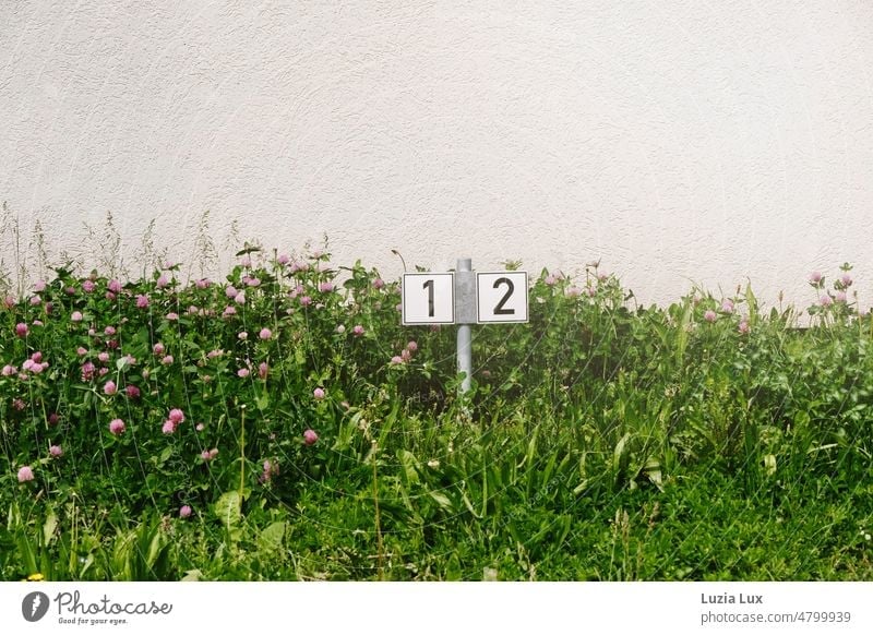 1, 2 numbered parking spaces and in front meadow and flowering clover Numbers Green Spring Clover rampantly proliferate Grass sign Bright Wall (building)