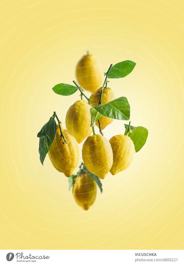 Flying lemons with green leaves at yellow background. flying levitation concept citrus fruits front view food fresh freshness ingredient leaf ripe summer