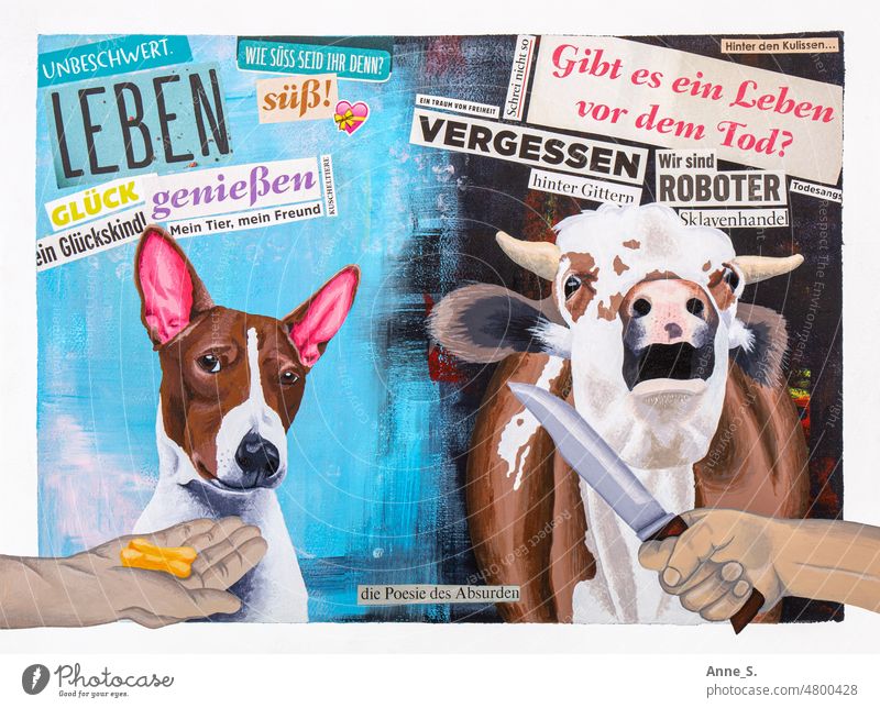 Pet dog getting treats versus farm animal cow with slaughter knife on neck. Dog Cow Cattle butcher Vegan diet vegan Farm animal Farm animals pets Collage Meat
