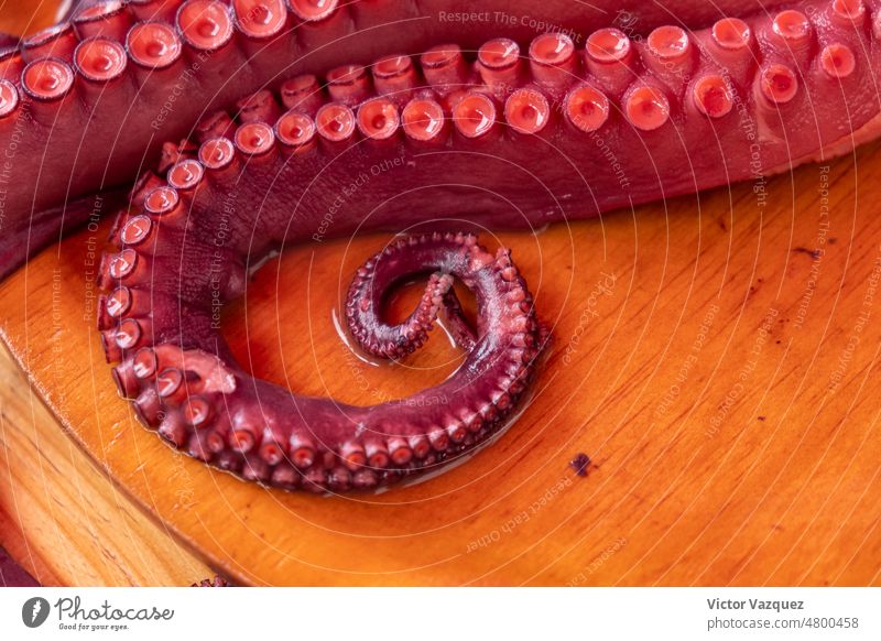 Octopus tentacles cooked Pulpo a Feira style, recipe from Galicia, Spain. -  a Royalty Free Stock Photo from Photocase