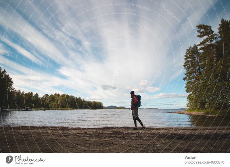 Hiker wearing a jacket and carrying a backpack walks along the beach and watches Lake Jatkonjarvi at sunset in Koli National Park, eastern Finland. Man aged 24 wearing sports clothes. Active lifestyle