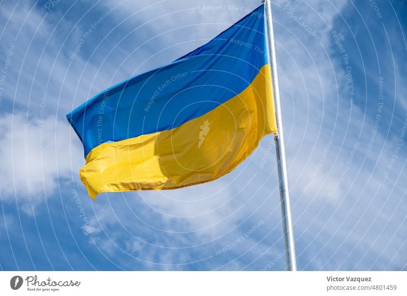 Flag of Ukraine fluttering in the wind on a white cloudy sky day. peaceful crimea outdoor independent liberation emblem isolated invasion war ukraine flag