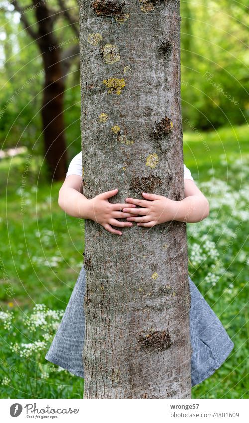 Father's day flowers Tree trunk Close-up Girl Embrace hug clench embrace Tree cuddling Outdoors Summer Hide Day live in the country