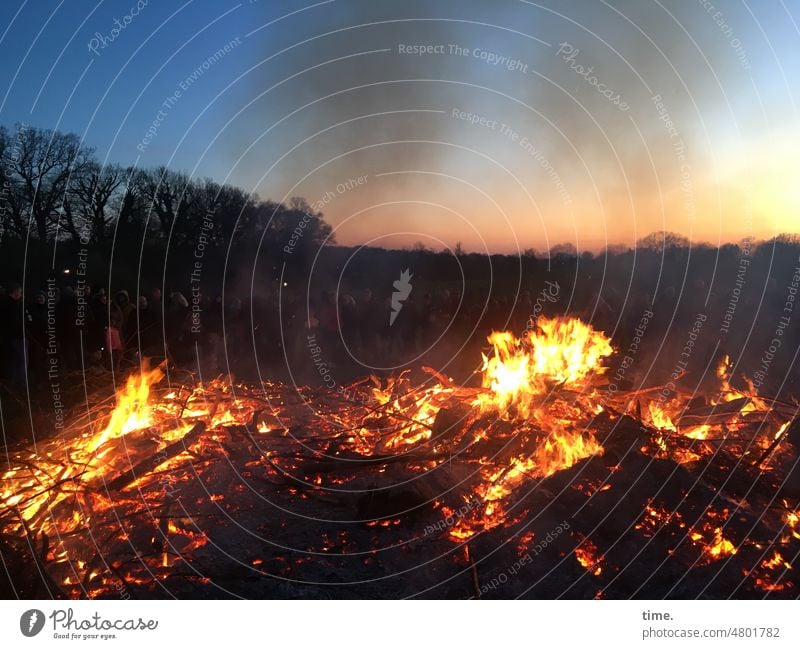 Beginning & End | Fire, Smoke and Ash Easter fire blaze Horizon Wood Burn Blaze Ritual trees Embers Hot Warmth Glow
