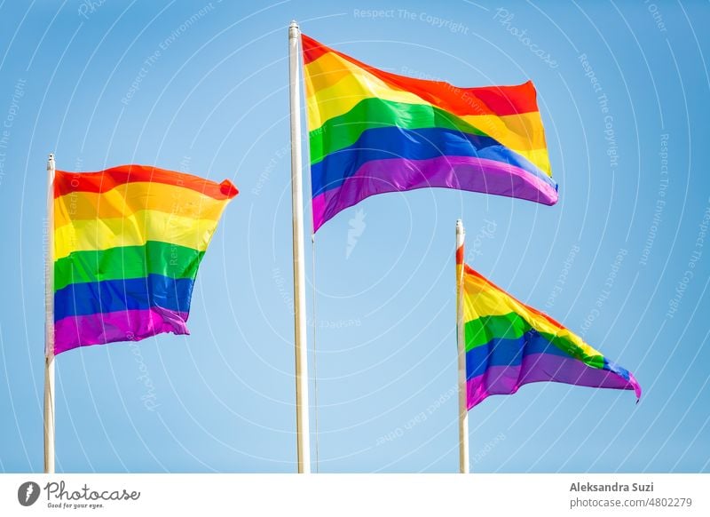 Rainbow flag fluttering against blue sky, Pride LGBT community symbol background bisexual bright bunting celebration color colorful colors concept day