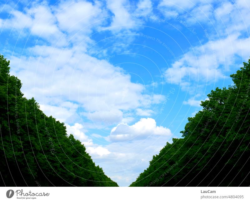 [hansa BER 2022] Sky over Berlin Clouds Straße des 17. Juni Berlin zoo geometric triangular Forest path Capital city Blue Green White peak Structures and shapes