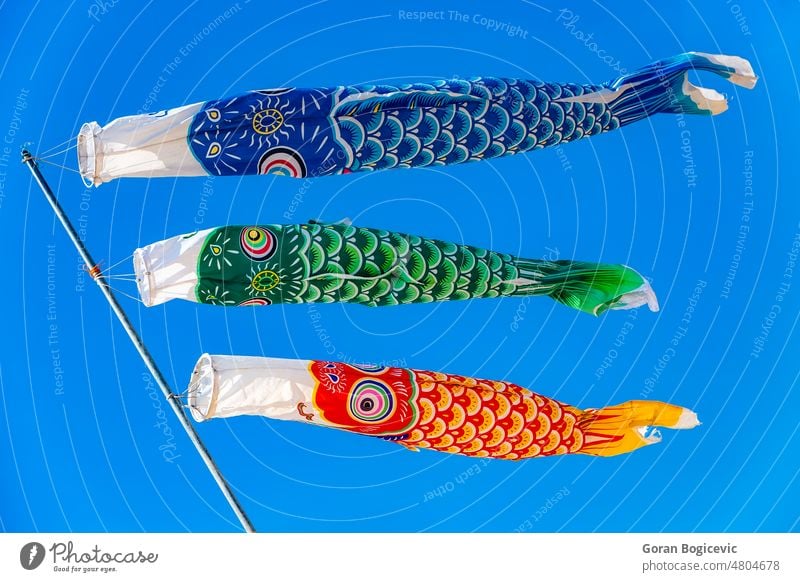 Carp-shaped colorful windsocks flag japan holiday japanese children season tradition decoration sky festival carp celebration fly traditional culture fish