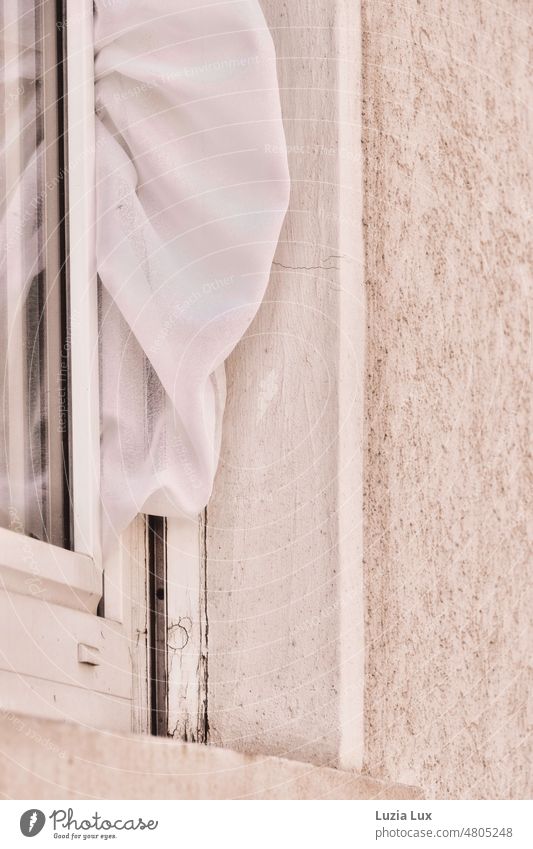 A white curtain captured in the window... Curtain White Delicate windy jammed Bright Light Drape Window Cloth Living or residing Sunlight Detail Folds Hang