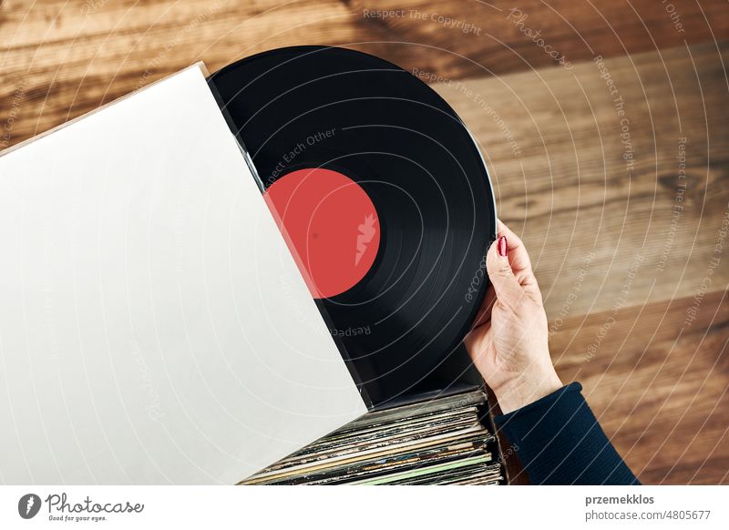 Playing vinyl records. Listening to music from vinyl record play listening analog album retro vintage audio turntable disc gramophone player collection