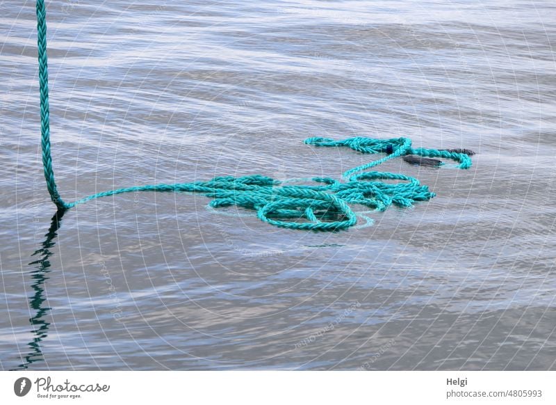 Line off - a thick turquoise ship rope floats on the water Dew Strick rope leash Water be afloat Light Shadow Surface of water Colour photo Exterior shot