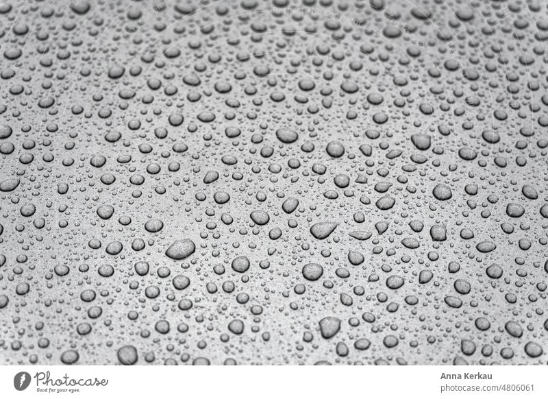 Water drops on smooth surface Drops of water raindrops points Gray Structures and shapes Rain Monochrome Wet Slice Bad weather Glittering Detail Damp Close-up