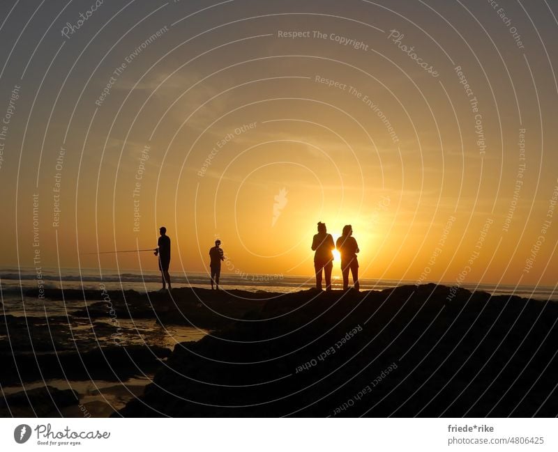 People on beach before sunset evening mood Freedom Summer vacation Light Dusk Copy Space top Twilight Horizon Tourism Colour photo Evening Landscape