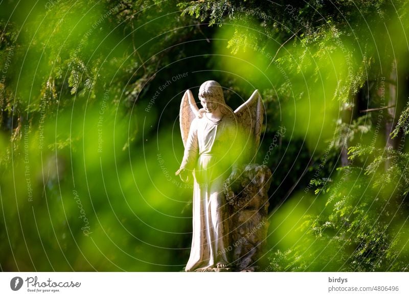 white angel statue behind green blurred leaves Angel Statue Religion and faith Christianity Cemetery Grand piano Grief Death Sadness blurriness Peace Hope