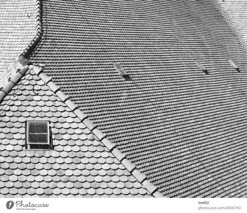 chute Roof Roofing tile Many Equal Concentrate Black & white photo Exterior shot Detail Close-up Pattern Row Structures and shapes Deserted Abstract Contrast