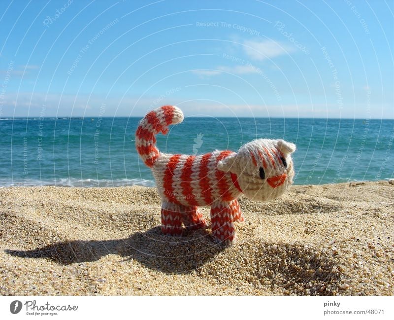 More Sea Cat Rope Ocean Barcelona Beach Striped Animal Cuddly toy Domestic cat kitty Crocheted sea Sand Blue le chat Loneliness Around-the-world trip