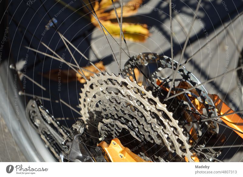 Gear ring of a bicycle and mountain bike in autumn with autumn leaves in sunshine in Giessen on the Lahn River in Hesse, Germany Bicycle Wheel mtb Mountain bike
