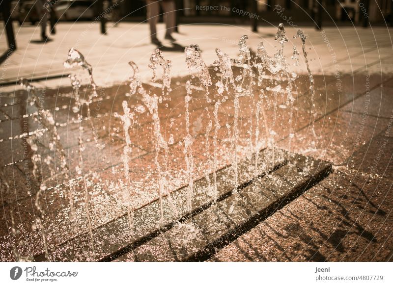 Water feature on a marketplace Drops of water Marketplace paved Town Downtown Sun Sunlight water feature Wet Shadow Light Fountain Inject Water fountain Cold