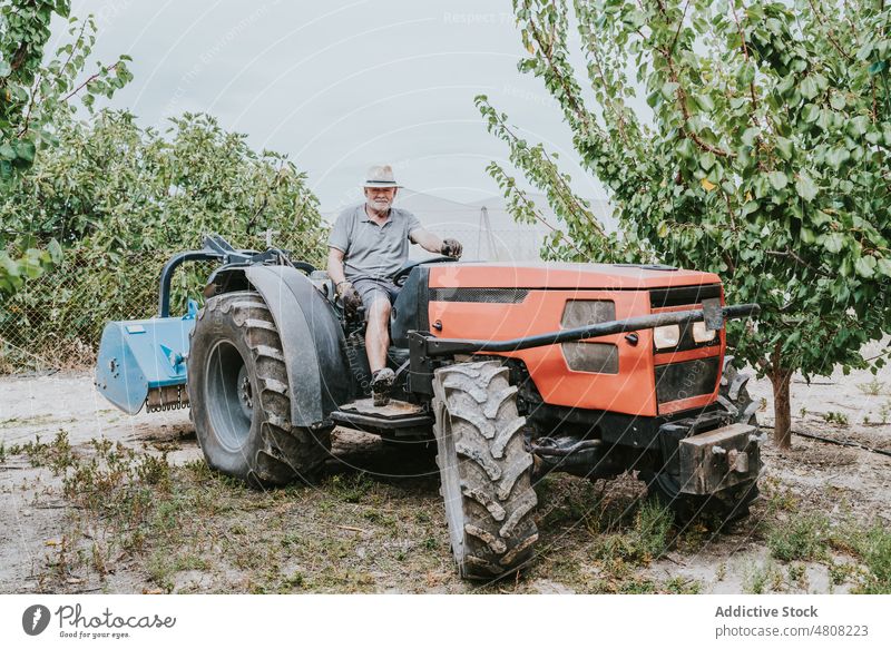 Elderly man driving tractor on farm drive orchard farmer summer tree agriculture work countryside male elderly senior aged plantation rural cultivate fruit