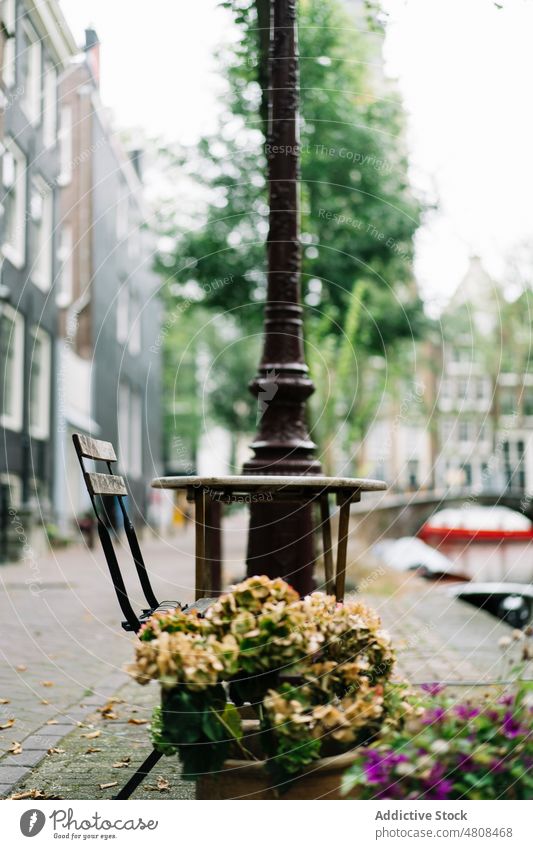 Small street cafe on embankment in city table chair sidewalk flower canal building house district residential cafeteria calm streetlamp amsterdam netherlands