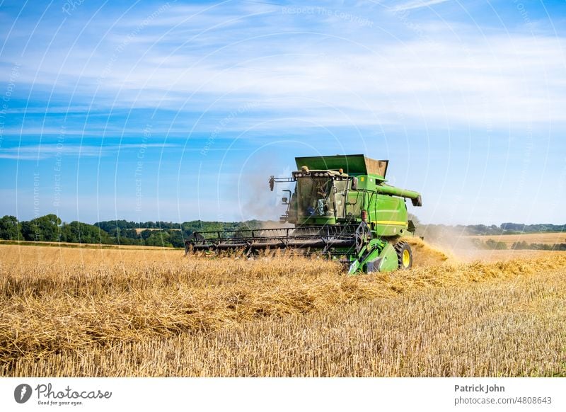 Combine harvester in operation catches up the harvest on a beautiful summer day. Agriculture Grain Cornfield Summer Summer's day Field Harvest peasant Farmer