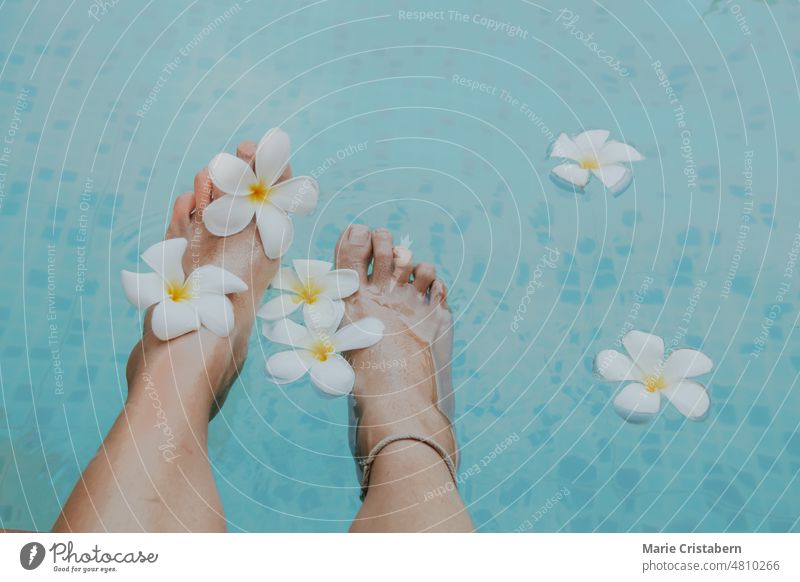 High angle view of feet soaking in blue clear water with frangipani flowers pampering self-care lifestyle top view summer wellness wellbeing copy space healthy