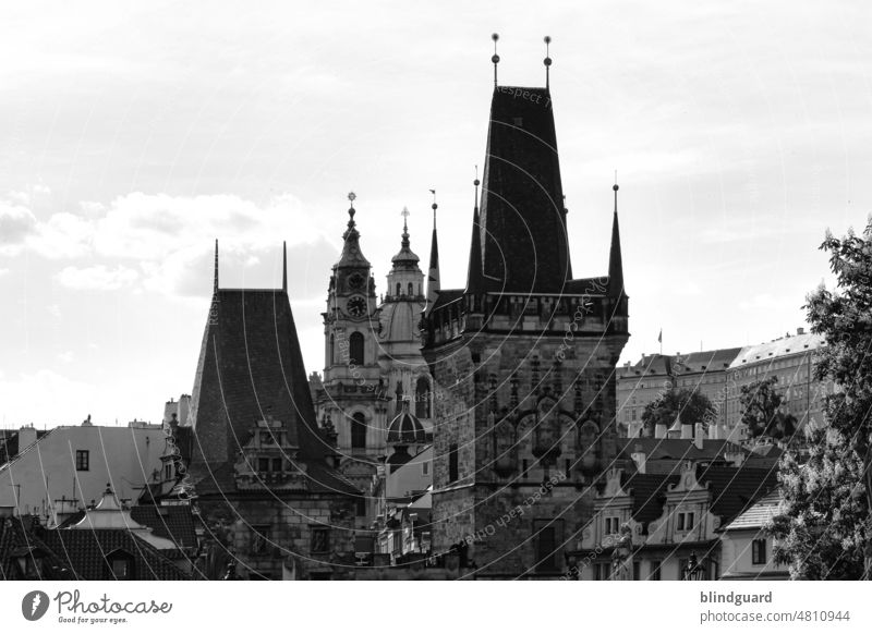 The golden city in colorless Charles Bridge Prague Czech Republic Tower Architecture Medieval times Old town Historic Exterior shot Tourist Attraction
