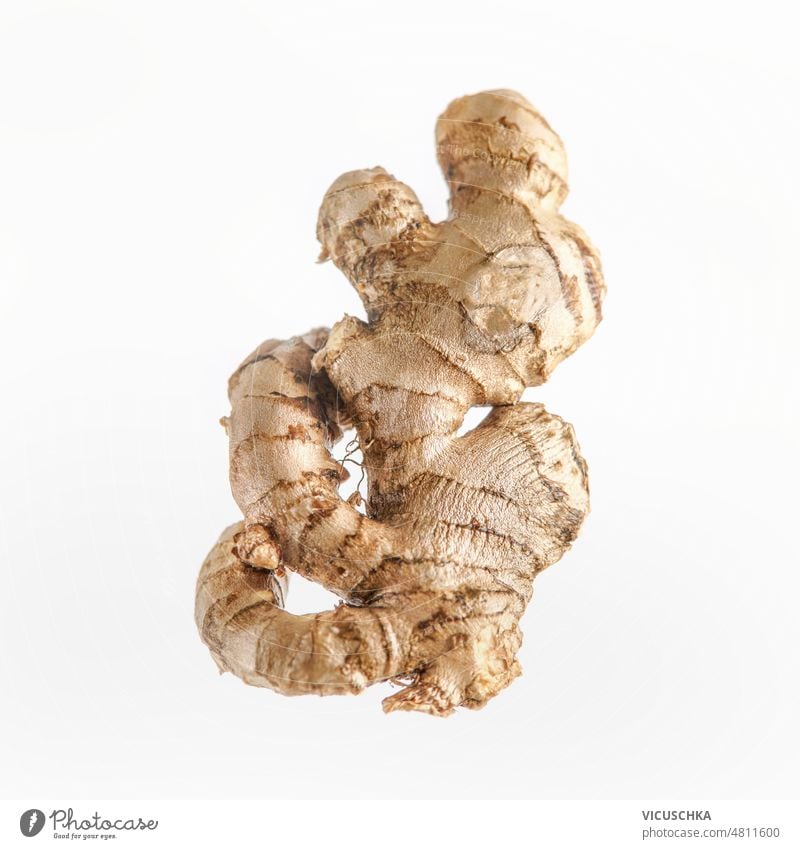Whole raw ginger root at white background. Front view. whole front view flavorful food healthy ingredient medicine natural nature nutrition organic spice spicy