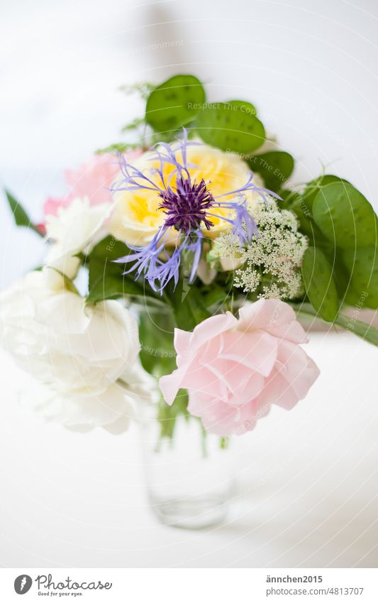A small colorful bouquet of flowers picked by yourself from the garden Ostrich Bouquet Spring Decoration Blossom Flower pretty Blossoming Nature Colour photo