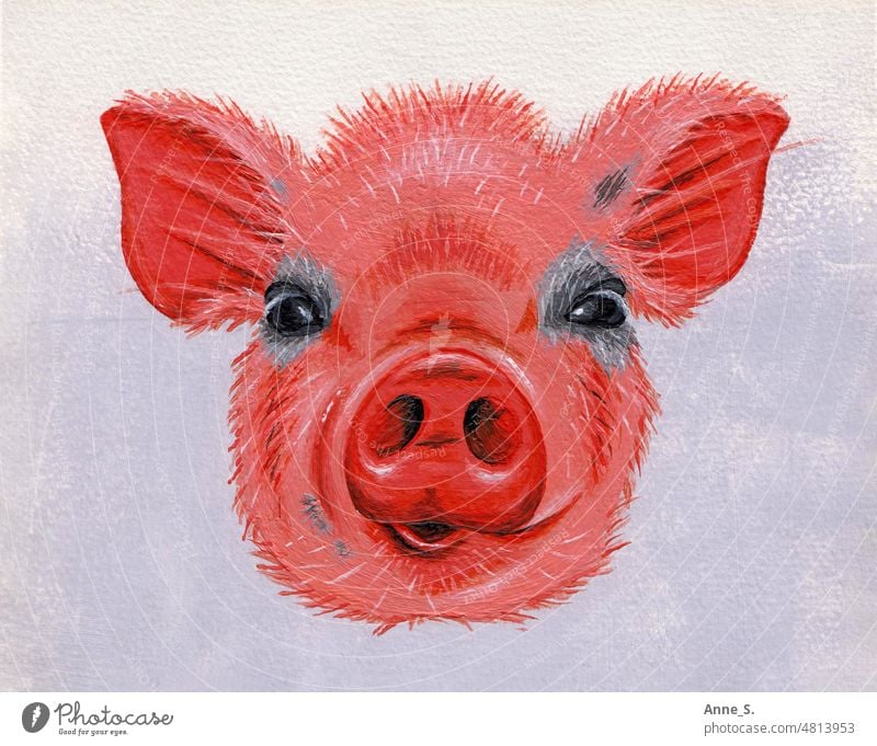 Painted portrait of a cute piglet with a lot of pink. Meat Farm animals Vegetarian diet Vegan diet Animal portrait vegetarian vegan veganism animal portrait