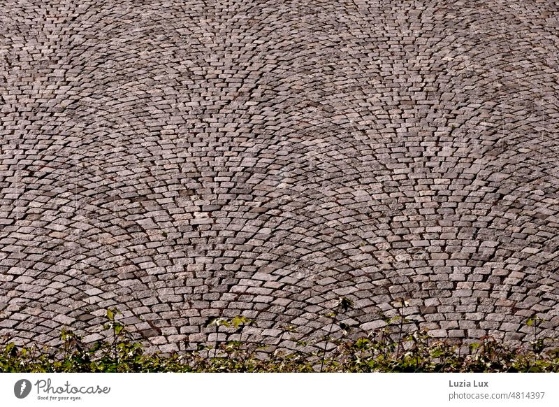 Cobblestone, beautiful in shape pavement Cobblestones Gray Town Pattern Paving stone Lanes & trails Places Architecture tidied Deserted Structures and shapes