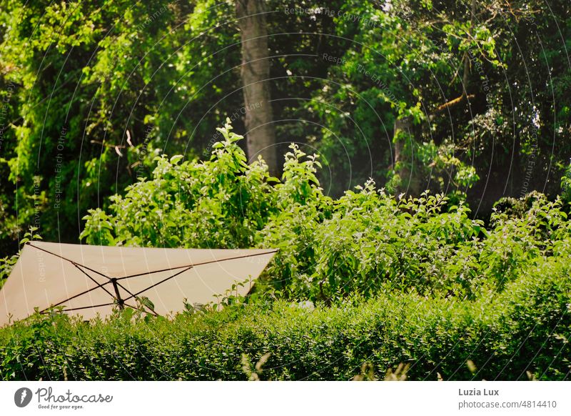 Summer in the garden... in the middle of the dense greenery a bright, huge parasol stretched. early summer Green Bright sunny Easy Light spanned Sunshade Garden
