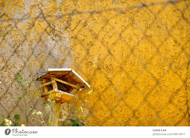 an old, broken bird house leans against a yellow house wall, behind wire mesh fence. The sun is shining and the stalks in the foreground are green. aviary Old