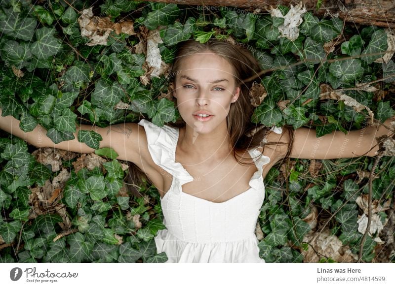 The beauty of nature reflects the beauty of a gorgeous brunette girl. Lying on the ground in her white dress. Looking into the camera. What a gorgeous portrait of a young woman in the wilderness.